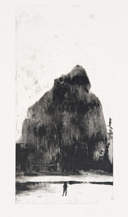 Oakland Suite: Wild Beauty 6, 2009, Monotype (ELG medium says monoprint), 8.5 x 17.5 inches, Courtesy of the artist and Elizabeth Leach Gallery