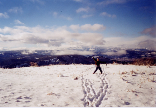 Spring on the mountain, 1993