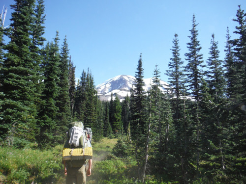 Image shows a person in a backpacking pack walking away from the camera on a forest trail with a view on Mt Adams in the distance.