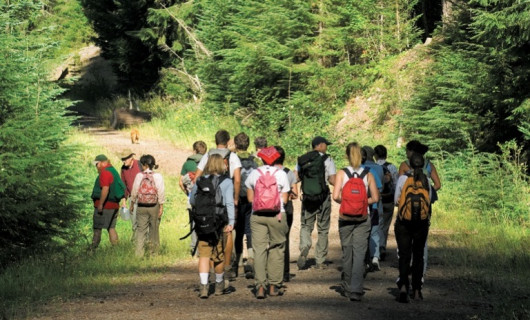 Students enter the Goat Marsh Research Natural Area on the southwestern slopes of Mount St. Helens in Washington. One of their first task...