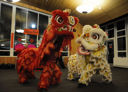 Lion dancers performed for China Night 2017