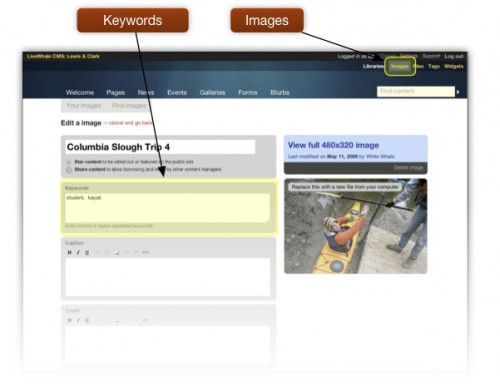 The Keywords entry field in Edit Image page in LiveWhale.