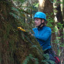 Research team member Rachel Rogers '11 takes a sample from a tree in the Pacific Northwest.