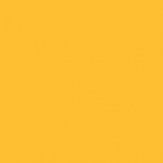 Lewis & Clark secondary color yellow