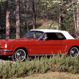 64 Mustang
