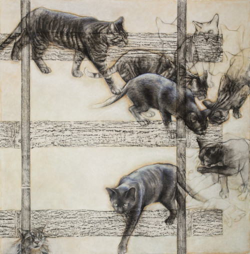 Hard Terms, 2013, Charcoal, pastel, and frottage on canvas 75.5 x 74 inches