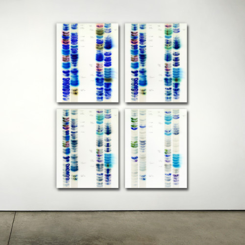 Sun Test #7 Day 1,4,10,52, Limited edition archival print on metal through dye sublimation, 42 x 33” each, 88 x 70 overall