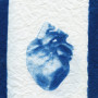 Blue and white anatomical heart on white background