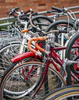 Bikes on campus.