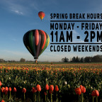 Open 11-2 Weekdays during Spring Break.