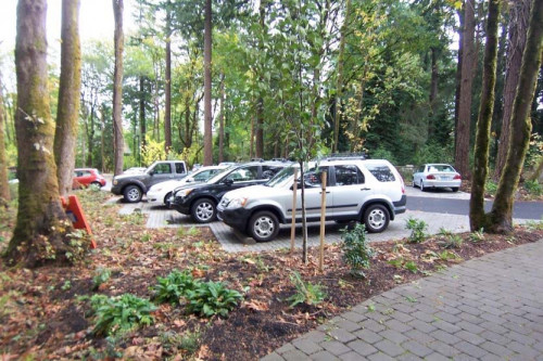 Graduate Campus Parking Garden
