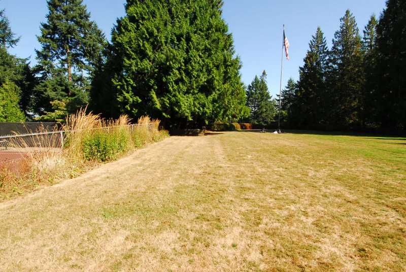 Lower estate garden grass field with tennis court to the north (note the flagpole is not currently present)