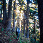 Image shows people wearing backapacking packs walking away from the camera on a trail in the forest. Sunlight is shining through the trees.