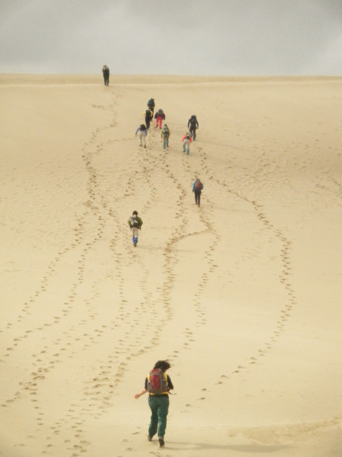 students hike up a sand dune