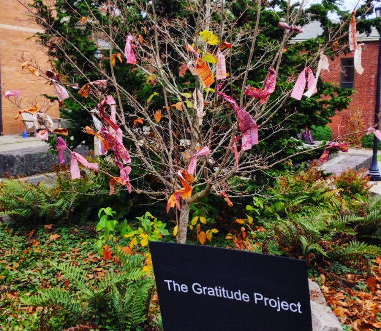 gratitude tree