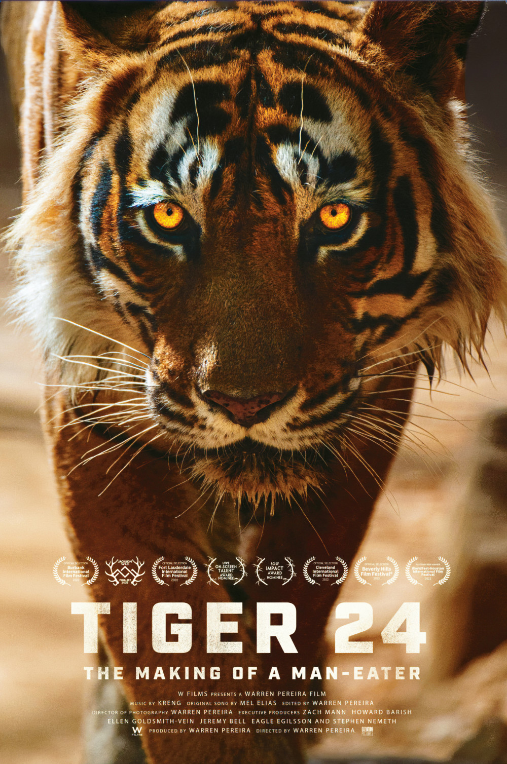 Tiger 24 Movie Poster