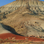 Science in the Painted Hills, Oregon 2009