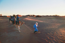 Morocco Sahara
