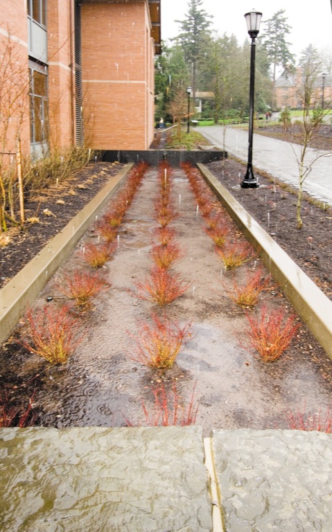Howard Hall is designed to capture and filter storm water runoff from its roofs--just one of many green features that helped the building...