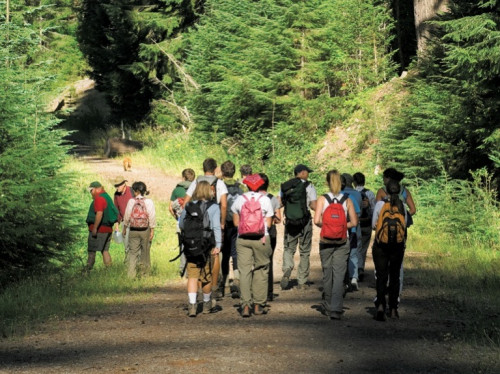 Students enter the Goat Marsh Research Natural Area on the southwestern slopes of Mount St. Helens in Washington. One of their first task...