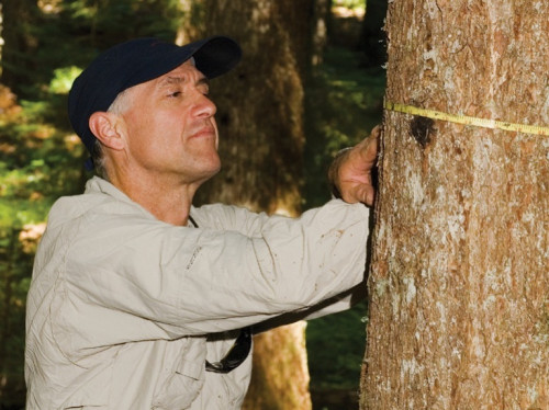 Joe Yuska, director of College Outdoors, demonstrates his tree-measuring skill. Yuska has headed the College Outdoors program since 1990.