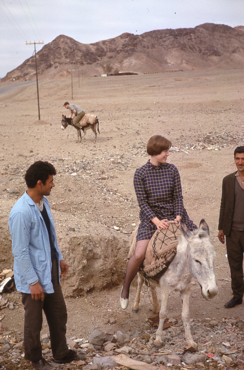 1968: Anne Laird BA '69 rides a donkey.