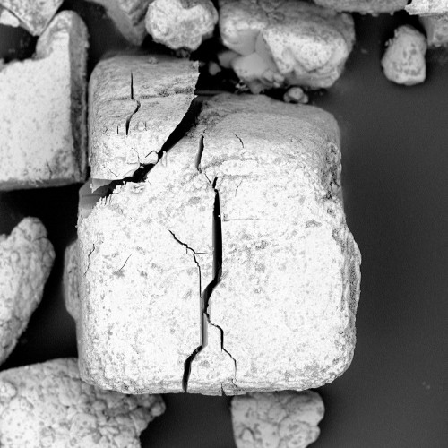 TABLE SALT | Sodium chloride contains striking cracks and cubical structures when magnified. “It looks as though someone took a chi...