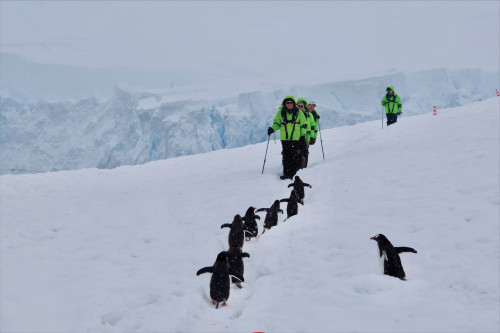 2022 Alumni Antarctica Trip
