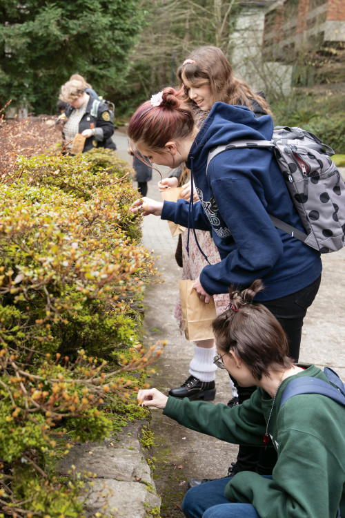 This year's Moss Appreciation Week included a variety of activities, including a Moss Petting Zoo, a terrarium-building workshop, and a M...
