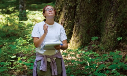 Nora Moore '10 assesses a tree's cause of death.