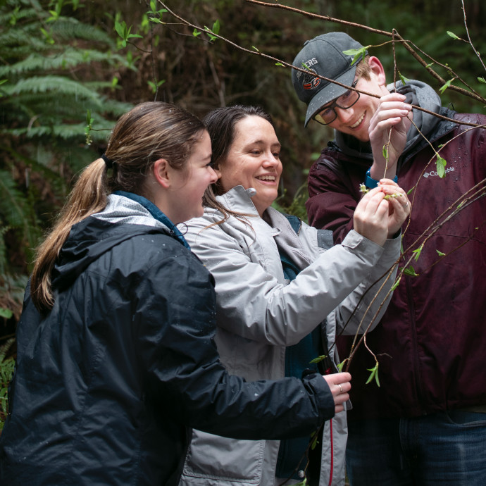 Assistant Professor Margaret Metz, Emily Schmelling BA '20, and Masten Summerfield BA '20 examine forest vegetation. (Robert Reynolds)