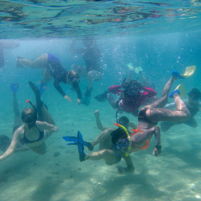 Students swimming underwater.