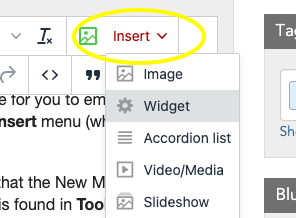 The Insert option found in the editing toolbar