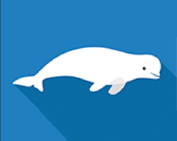 This is a logo graphic of a beluga whale for LiveWhale