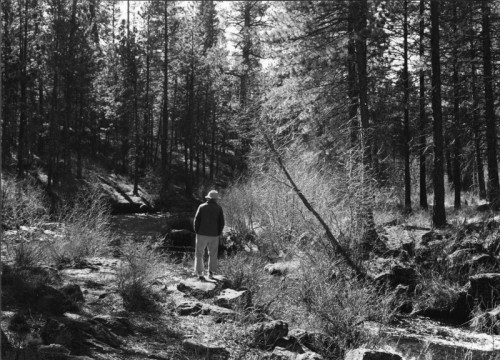 William Stafford at Sisters, Oregon, hiking along the Metolius River.