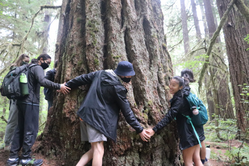 Xplore students encircling a big tree in Cedar Flats