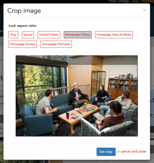 Image Cropping Homepage Gallery