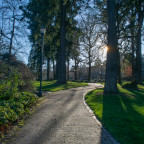 Pathway through trees on the Lewis & Clark campus.