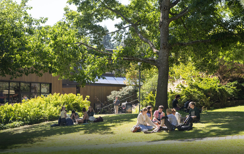 You'll find perfect places for picnics on our campus.