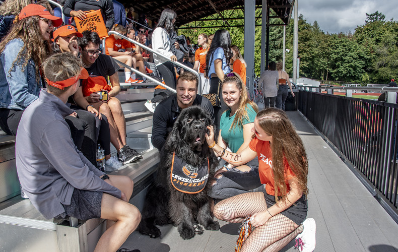 Our mascot, Pio the Newfoundland, is a regular on campus.