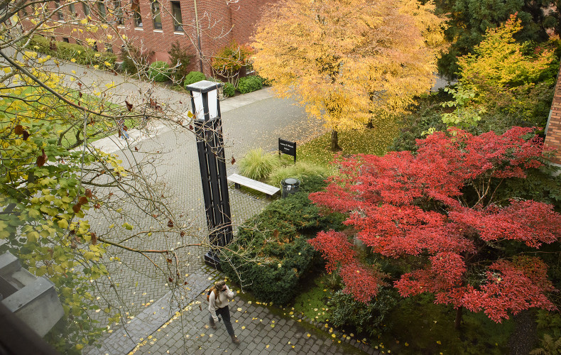 Our campus is full of picture-perfect spots, especially in the fall.