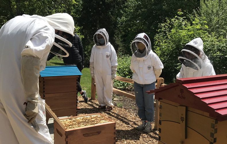Our student-run beehive/apiary garden is the best way to commune with nature and learn about poll...
