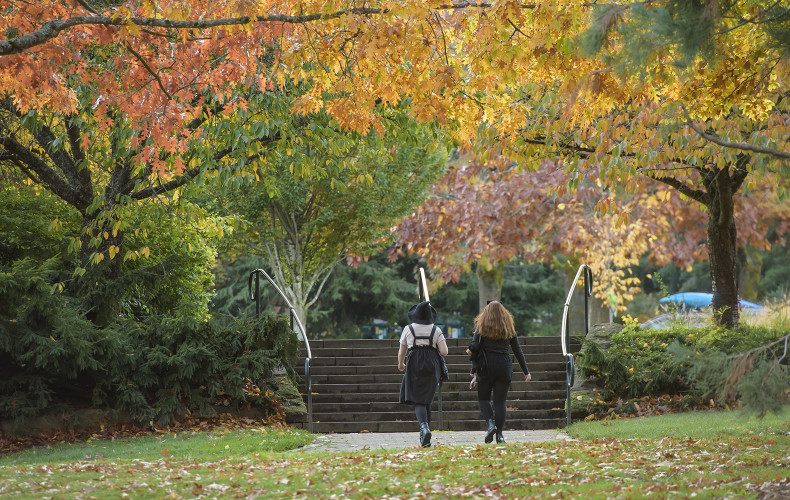 There's plenty of time between classes to explore all of the changing leaves on campus.