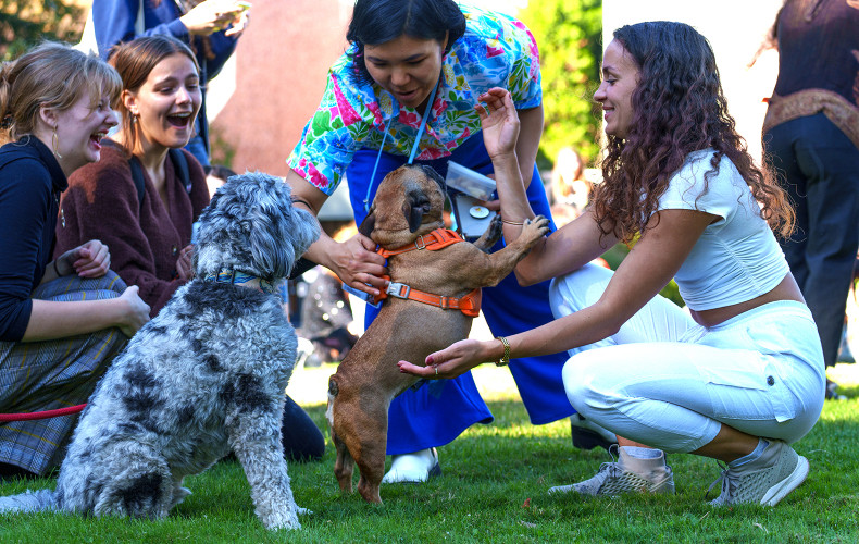 Our community members bring their dogs to campus for Dog Daze, the best day of the year!