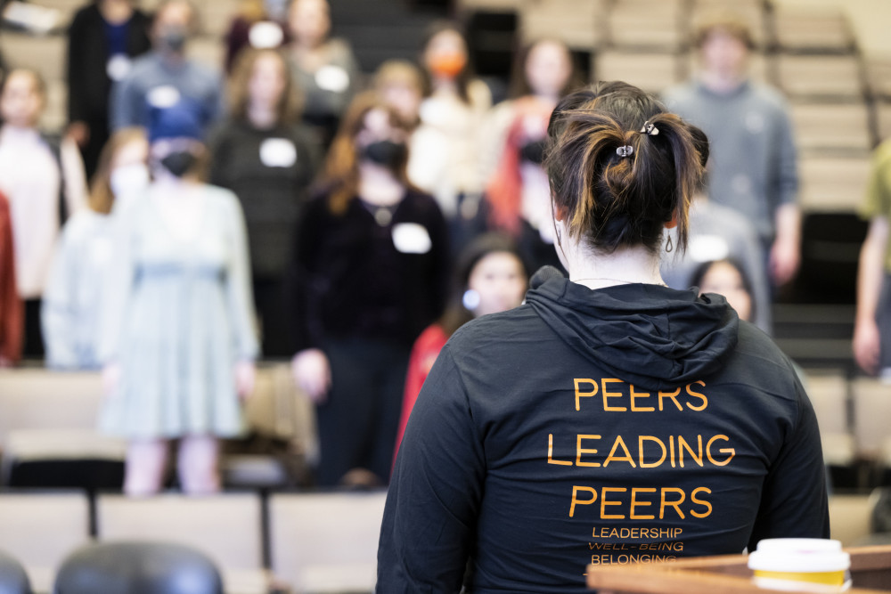The second annual Peer Collective Summit was held on March 10 and 11, 2023.