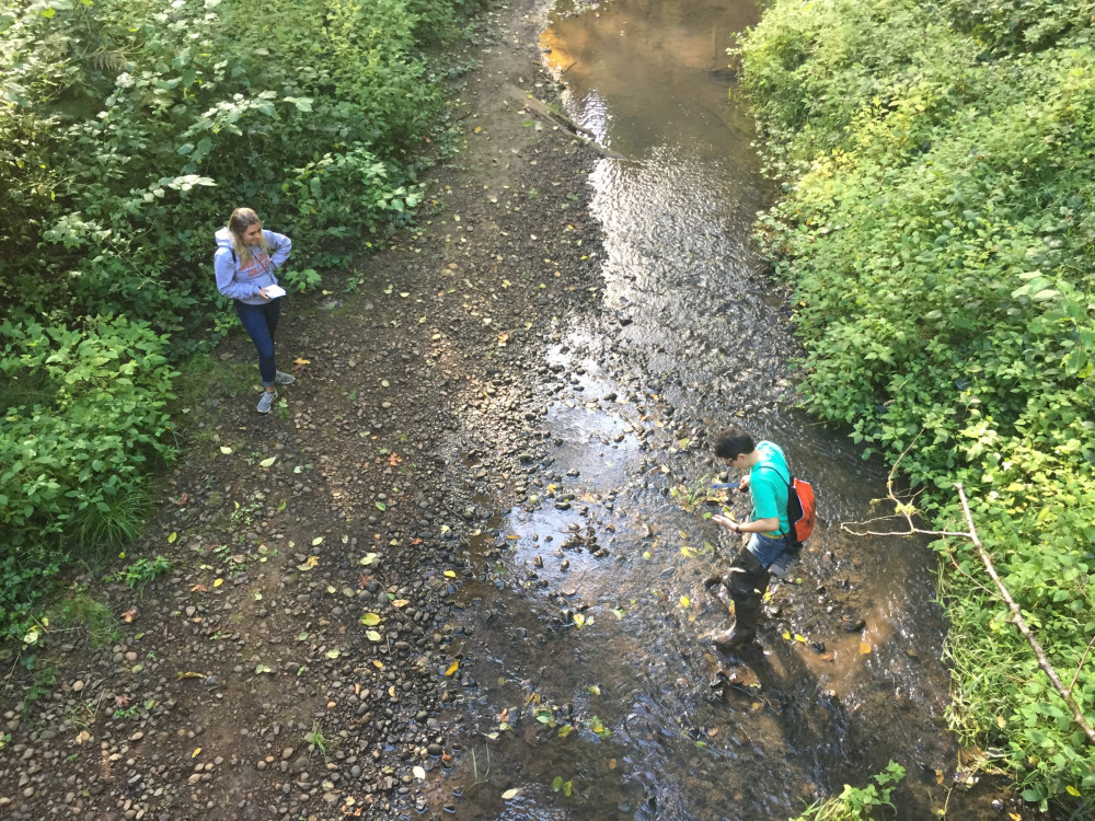 Two students taking measurements in Tryon Creek.