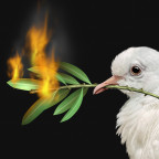 Peace crisis concept with a white dove and a burning olive branch as a symbol of the challenges of war fighting and revolution.