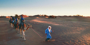 Students on an outing, part of the Morocco overseas program.