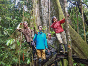 Robin Gropp BA '16, Mason Wordell BA '15, Assistant Professor Metz, and Ina Waring-Enriquez BA '17 at the base of a giant kapok tree (Cei...