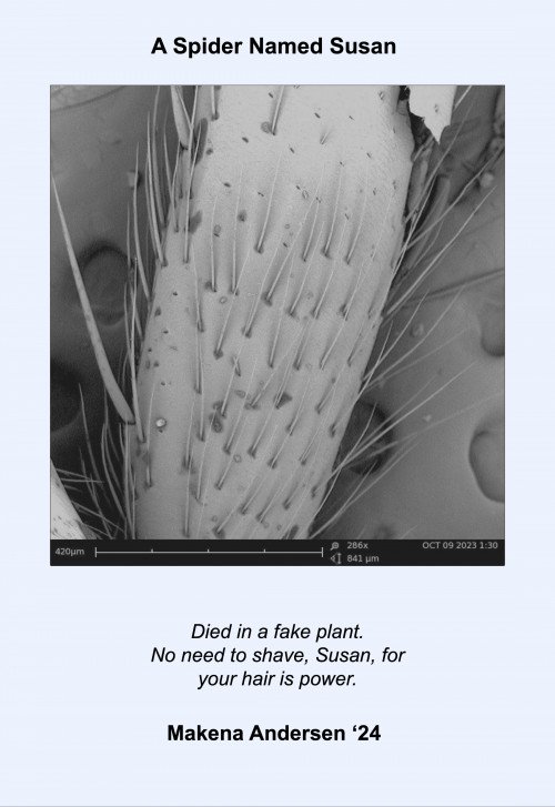 Black and white microscopic image with a haiku: Died in a fake plant./No need to shave, Susan, for/your hair is power.
